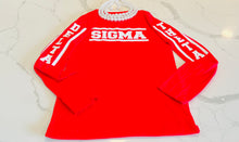 Load image into Gallery viewer, Delta Sigma Theta Long Sleeve Shirt

